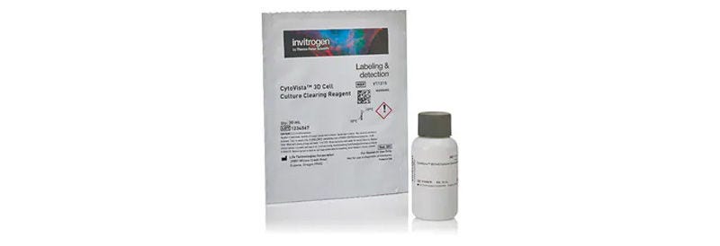 3D Cell Cultures