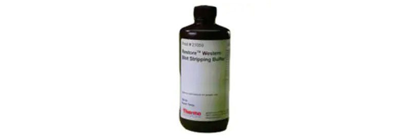 Western Blotting Reagents, Membranes and Supplies