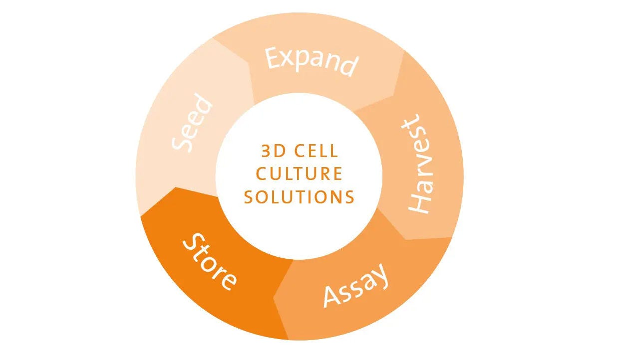 3D Cell Culture