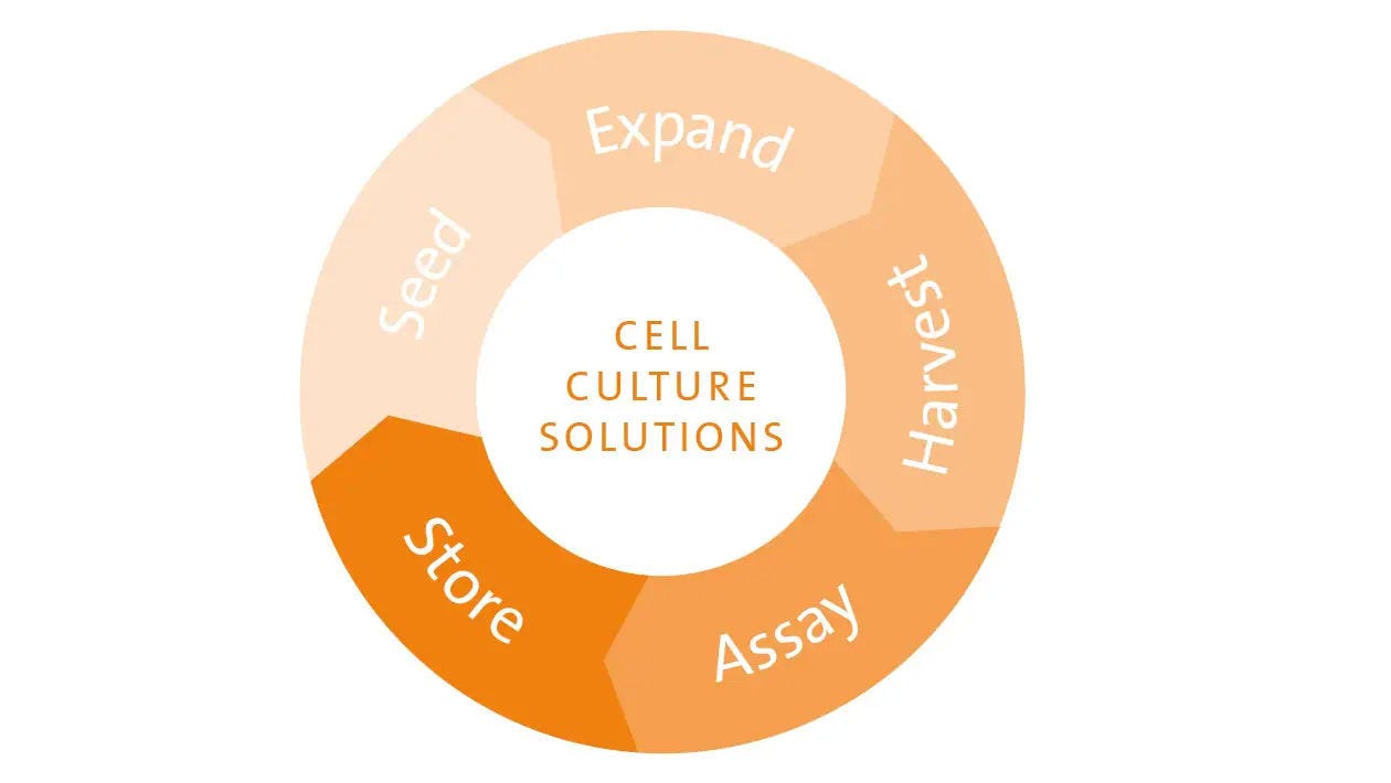 Cell Culture