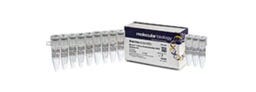 PCR Cloning Kits