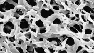 Membrane Filtration
