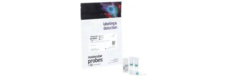 Antibody Purification Kits