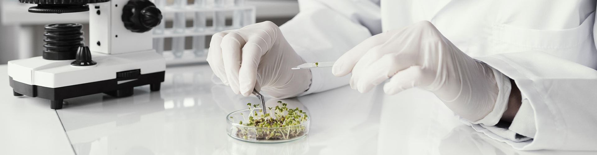 Organic Synthesis