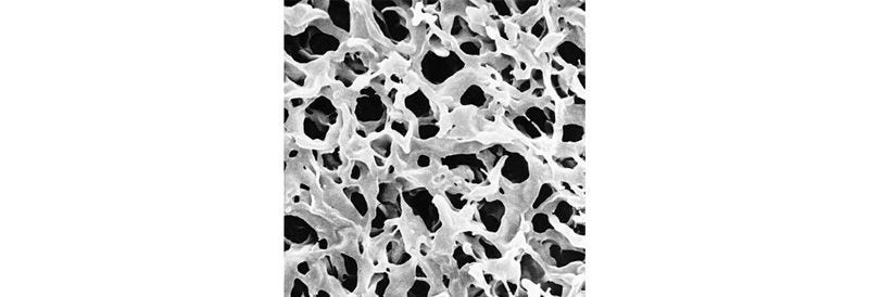 Membrane Filtration