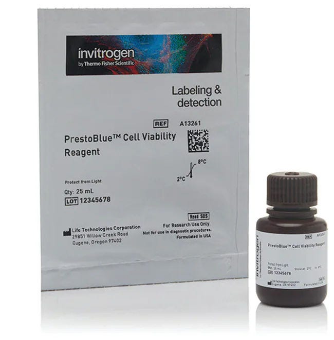 Cell Based Assays