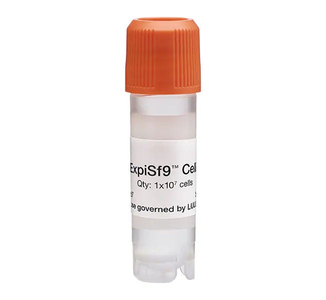Cell Lines