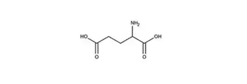 Amino Acids