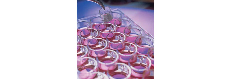 Merck Millipore Millicell™ Culture Plates Inserts: PCF