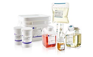 Gibco Zellkultur und Zelltherapie