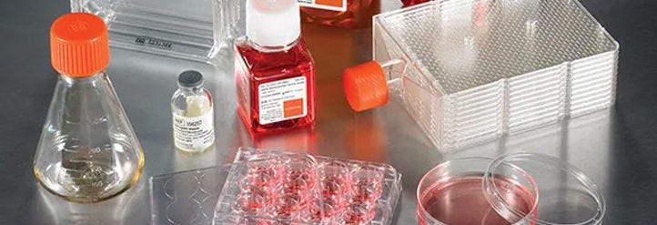 Cell Culture Expand