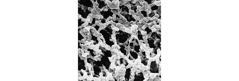 Membrane Filtration