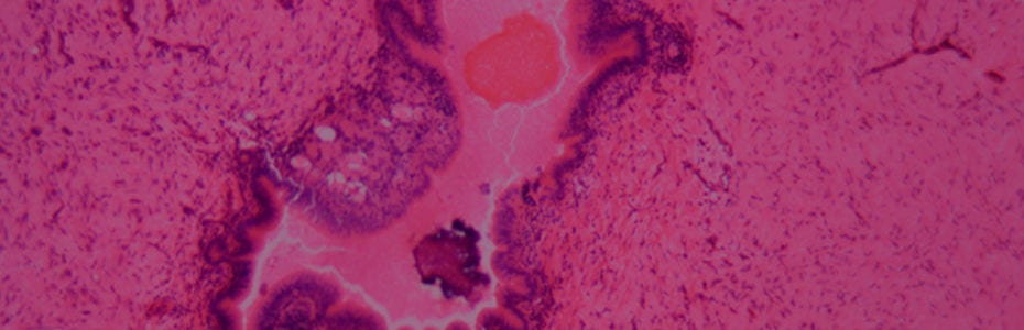 Histology