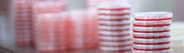 Microbiology Methods