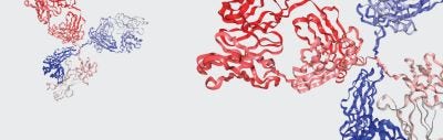 25629_Brand_C4_P1_Doc9