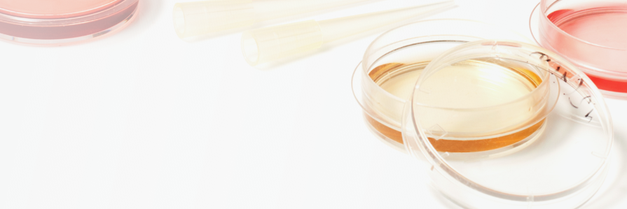 Cell Culture
