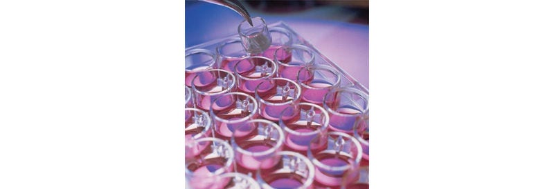 Merck Millipore Millicell™ Culture Plate Inserts: PCF