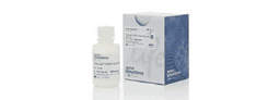 Real Time PCR Master Mixes
