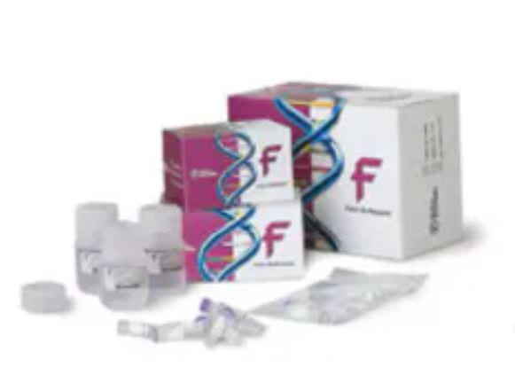 DNA Polymerases