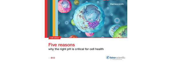 Five Reasons Why the Right pH is Critical for Cell Health Image