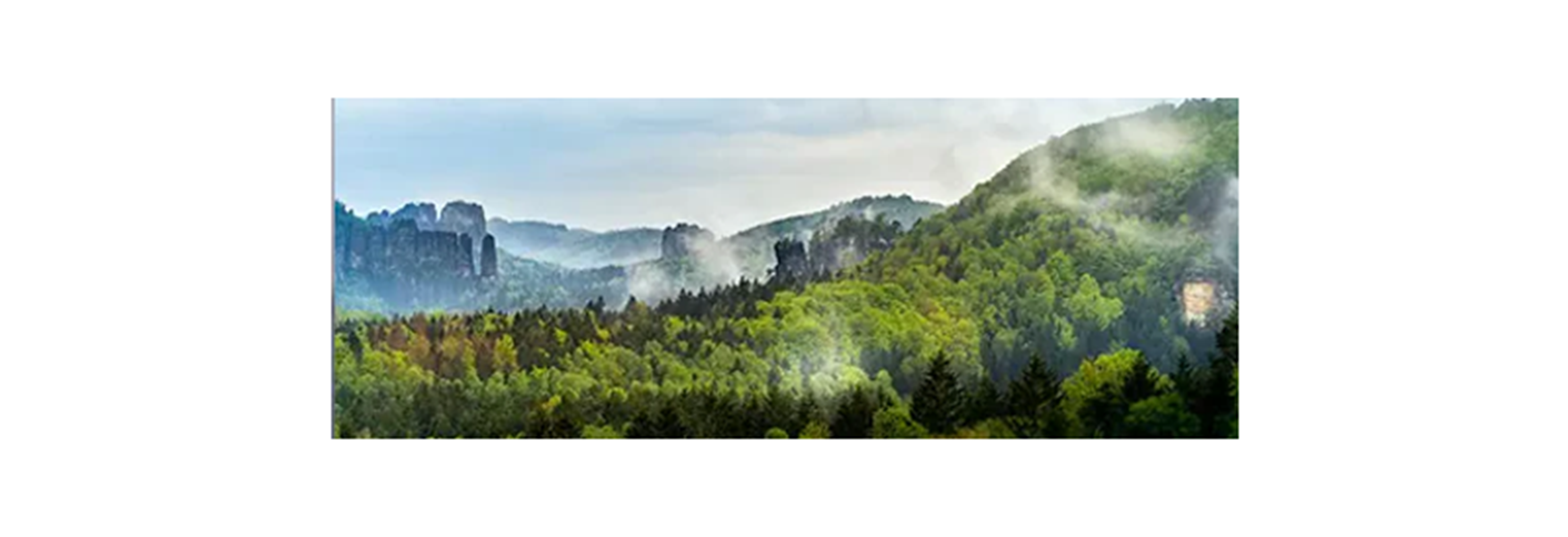 22655 - test1website