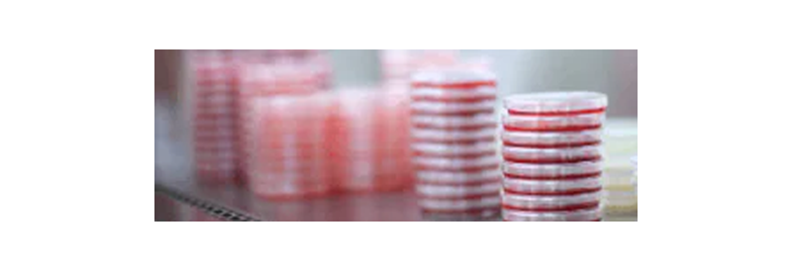 microbiology