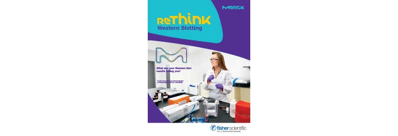Rethink Western Blotting