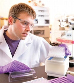 Multiwell Plates for Filtration & Assays 