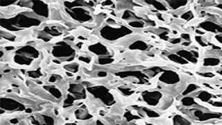 Filter - Membrane
