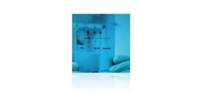 Relative Activity of OPTIZYME™ Restriction Enzymes