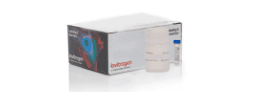 Nucleic Acid Labeling and Detection