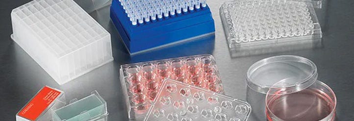 Cell Culture Assay