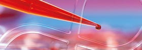 Should You Use Digital or Real-Time PCR?