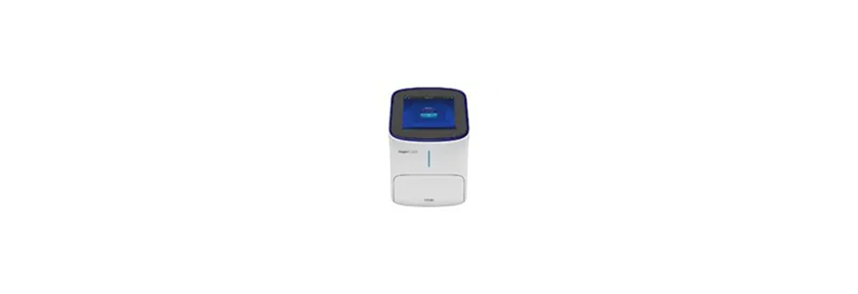 Protein Protein Transfer and Detection