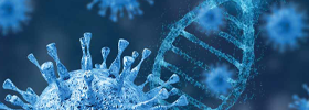 Molecular Biology Research Essentials