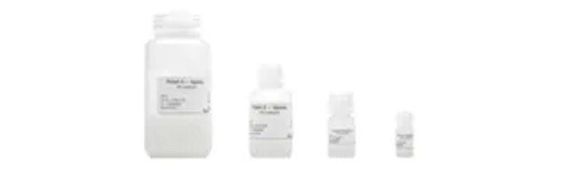 Protein Resins