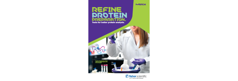 Refine Protein Preparation