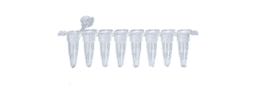 PCR Tubes