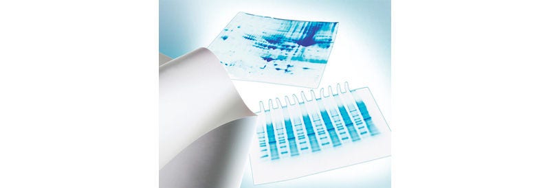 Merck Immobilon™-P PVDF Membrane