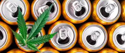 Cannabis-Chemie: Cannabis-Getränkemischungen