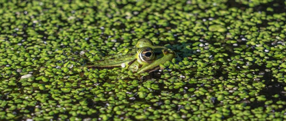 Minimize Your Laboratory’s Environmental Impact
