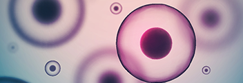16692_LS Life Sciences